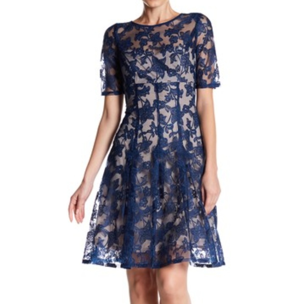 Adrianna Papell Pleated Embroidered Mesh Dress